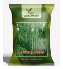 Agromate Moringa Drumstick Tree Seeds 50 grams